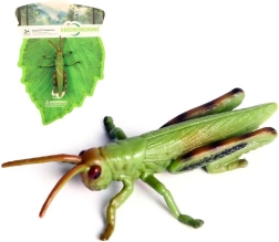 Plastikinis žiogas