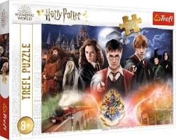 Dėlionė HARRY POTTER – 300 dalių