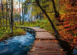 Puzzle RAVENSBURGER Mysterious Forest 1000 pieces