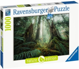 Dėlionė 1000 detalių „Miškai“ Ravensburger
