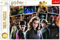 Dėlionė HARRY POTTER ir draugai, 160 detalių, Trefl