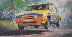 Automobilio modelis Škoda Favorit Rallye 96 masteliu 1:72
