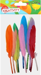 Kūrybinis dekoratyvinių plunksnų rinkinys