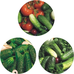Metalinių dangtelių rinkinys konservavimo stiklainiams, Ø 82 – 6 užraktai, agurkų motyvas (10 vnt.)