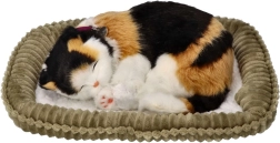 Kvėpuojantis trispalvis kačiukas guolyje