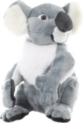 Didelė pliušinė koala