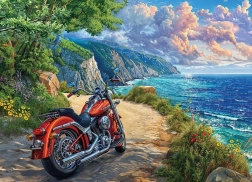 Galvosūkis Atvykimas 500 dalių nuo Cobble Hill