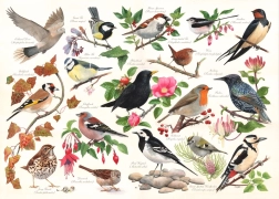 Puzzle Birds in the Garden - 1000 Pieces