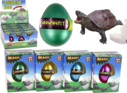 Magiškas kiaušinis su augančiu vėžliu 6 cm