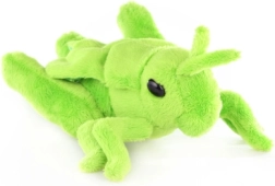 Pliušinė pievinė žiogas