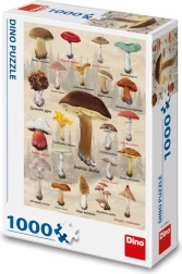 Dino dėlionė „Grybų koliažas“ 1000 dalių