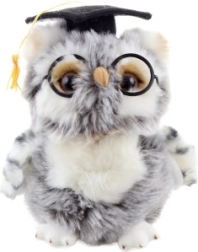 Pliušinis pelėdas Absolventas