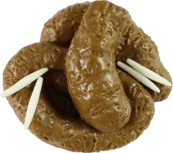 Fake poop with caterpillars – realistic prank prop