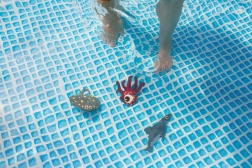 Sea Animals for Water for Kids