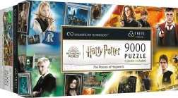 9000 dalių dėlionė Hogvartso namai Harry Potter