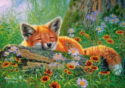 Dėlionė 500 dalių Foxy Dreams