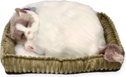 Kvėpuojantis kačiukas Ragdoll Perfect Petzzz