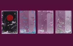 Blizgus sąsiuvinio A4 aplankas