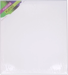 Dailininko drobė 40 × 50 cm