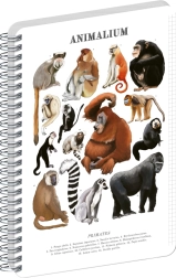 Notique spiral notebook Animalium – Primates, squared A5