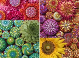 Ravensburger dėlionė „Mandala gėlės“ 500 detalių