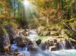 Puzzle Forest Stream 2000 pieces CASTORLAND
