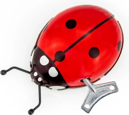 Vėjamas boružėlė su raktu