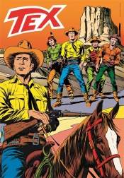 Puzzle 1000 Pieces Tex Compact