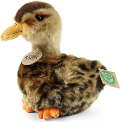 Pliušinė laukinė antis 19 cm (eco-friendly)