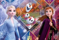 Puzzle 104 Maxi Super Color Frozen 2