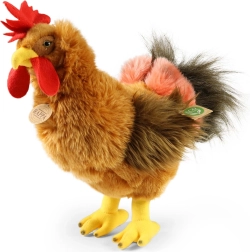 Rappa pliušinis gaidys 33 cm, ekologiškas