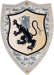 Souza knight shield Raymond made of EVA foam