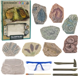Paleontologinių kasinėjimų rinkinys – gipso blokas su įrankiais