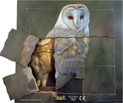 Just Jigsaws Pelėda ir jos gyvenimo ciklas – medinė sluoksniuota dėlionė