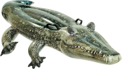 Pripučiamas krokodilas vandeniui INTEX