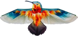 Aitvaras Kolibris