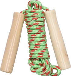 Šokdynė su medine rankena 250 cm