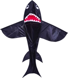 Skraidantis aitvaras Ryklys