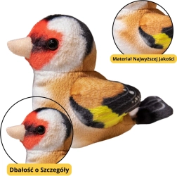 Mažas Pliušinis Paukštelis Mėlynoji Zylė