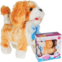 Nuotolinio valdymo šuniukas