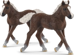 SCHLEICH HORSE CLUB juodojo miško kumeliukas – figūrėlė