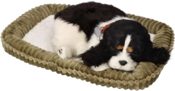 Priimkite mane Kvėpuojantis pliušinis šuo Kokerpudelis