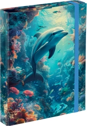 Aplankai mokykliniams sąsiuviniams BAAGL Delfinas A5