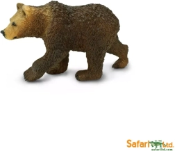 Grizzly bear – cub