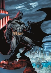 Dėlionė Batman: Tamsusis gynėjas, 300 detalių
