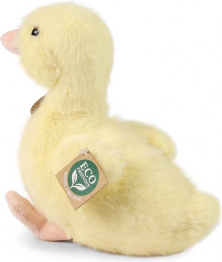 Saugus glėbis nuo 0+