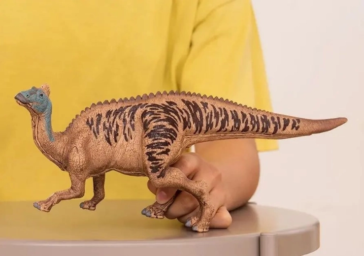 For play and collecting