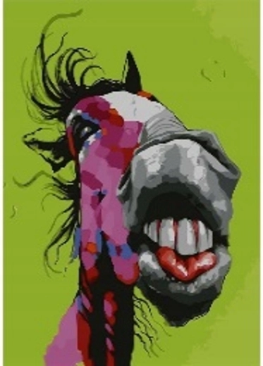 Norimpex Paint by Numbers Crazy Horse 40 × 50 cm