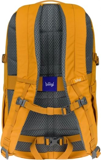 Comfortable anatomical carrying system