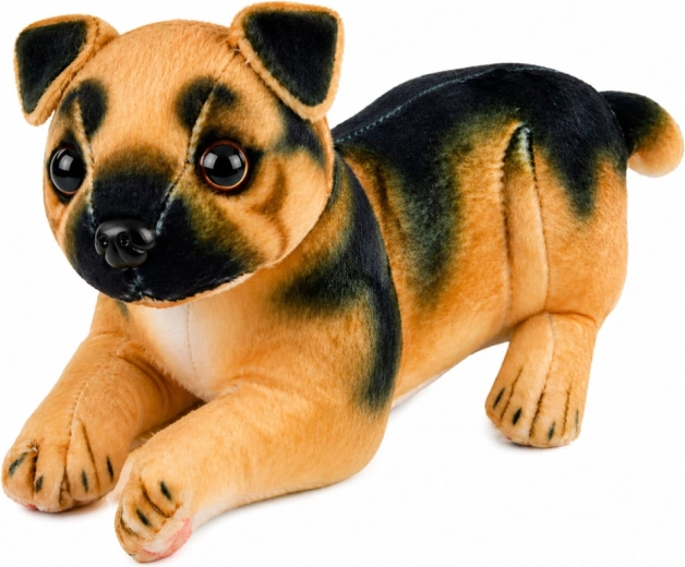 Realistic look of a German Shepherd